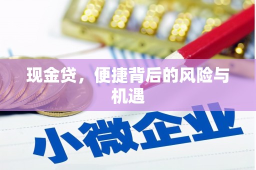 岳普湖现金贷，便捷背后的风险与机遇
