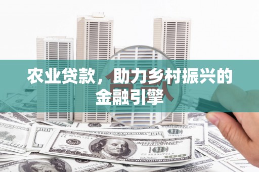 岳普湖农业贷款，助力乡村振兴的金融引擎