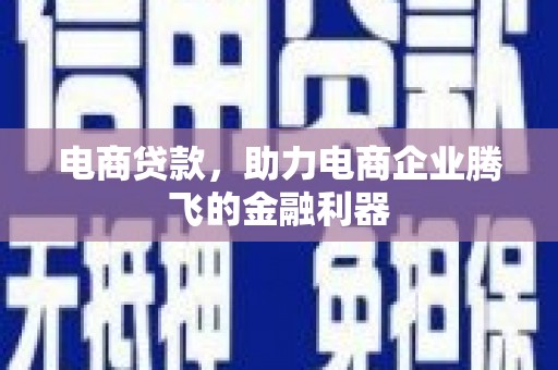 岳普湖电商贷款，助力电商企业腾飞的金融利器