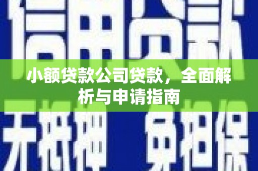 岳普湖小额贷款公司贷款，全面解析与申请指南