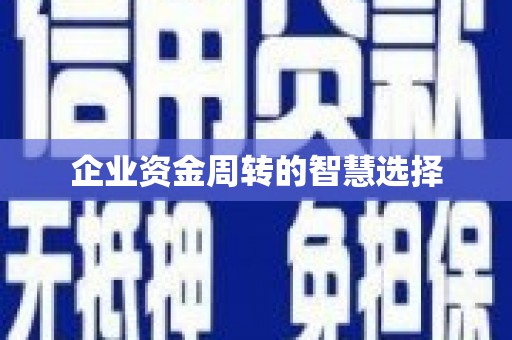 岳普湖企业资金周转的智慧选择