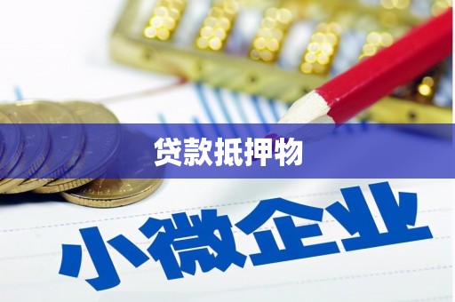 岳普湖贷款抵押物