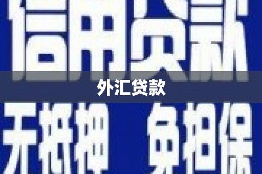 岳普湖外汇贷款
