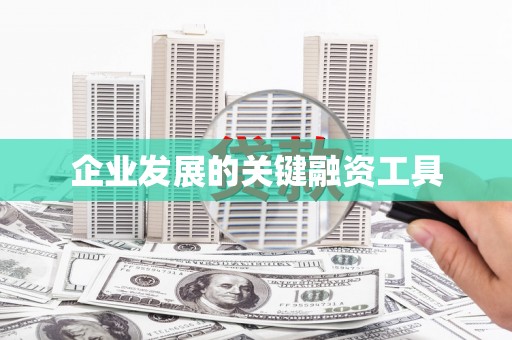 岳普湖企业发展的关键融资工具