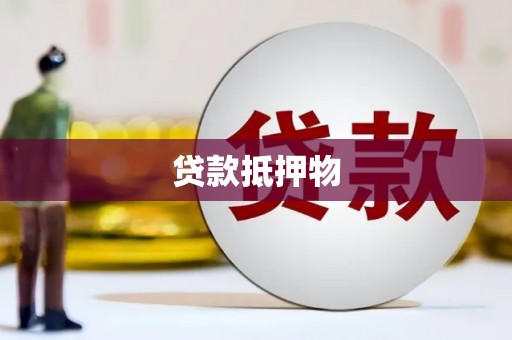 岳普湖贷款抵押物