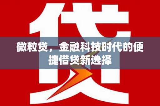 岳普湖微粒贷，金融科技时代的便捷借贷新选择