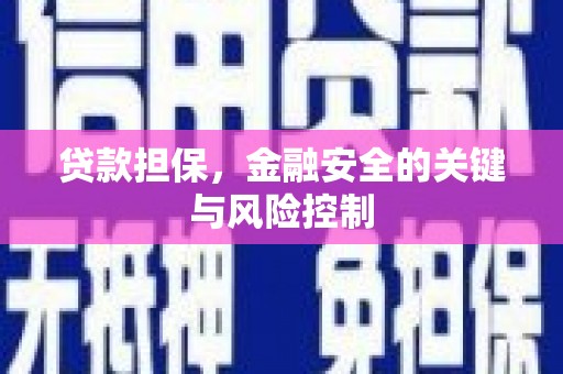 岳普湖贷款担保，金融安全的关键与风险控制