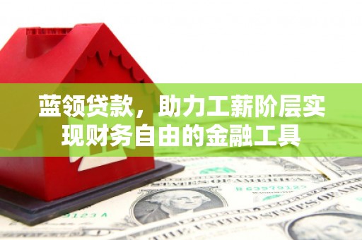 岳普湖蓝领贷款，助力工薪阶层实现财务自由的金融工具