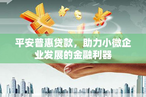 岳普湖平安普惠贷款，助力小微企业发展的金融利器
