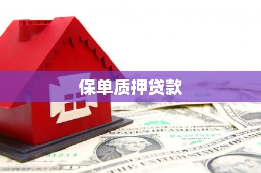 岳普湖保单质押贷款