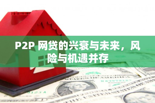 岳普湖P2P 网贷的兴衰与未来，风险与机遇并存