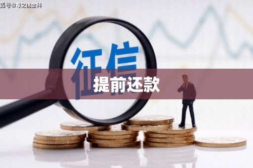 岳普湖提前还款